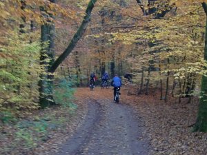 Wilseder Berg 1 2010 036